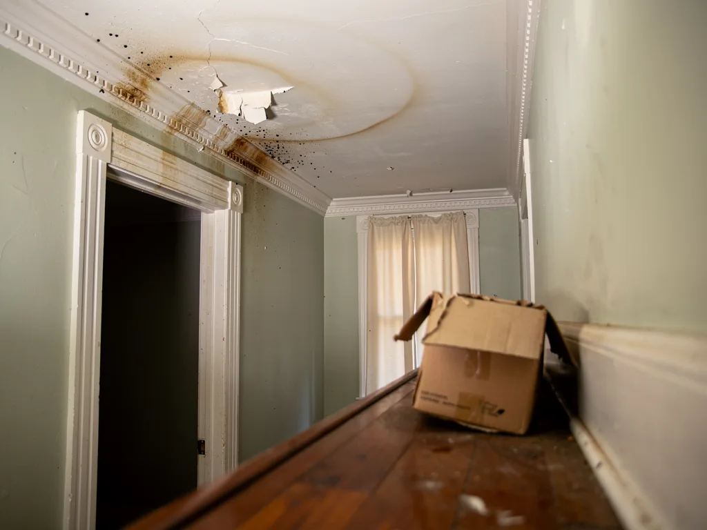 Warning signs of hidden water damage in Charleston homes